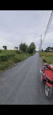 Bán 313m2 đất thổ cư đường tránh thị trấn Cần Đước