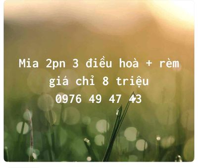 Căn hộ 2pn mia – giá chỉ 8 triệu/tháng