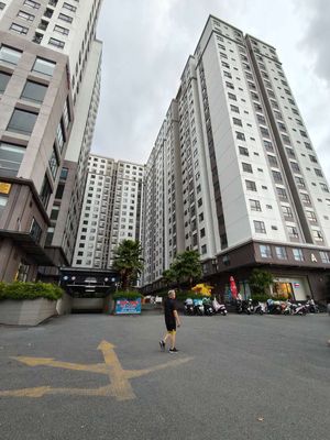 Cho thuê green river q8 – 80m², 3pn 2wc – phạm thế hiển!