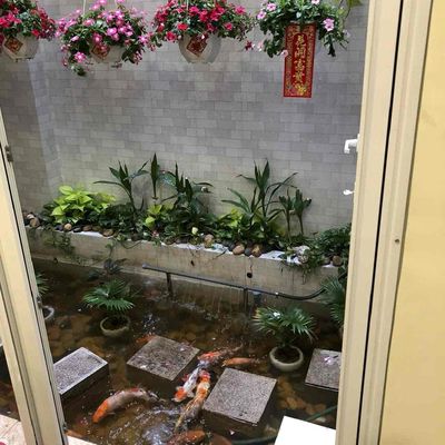 Bán nhà lầu đúc kiên cố đường Bình Phú. Quận 6. Diện tích : 4.5 x