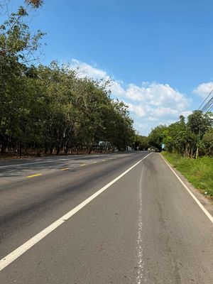 Bán đất 1ha Phường Chánh Phú Hòa, Bến Cát, Bình Dương