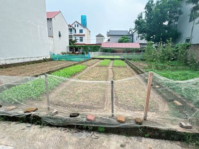 Bán đất đẹp, ngõ thông, ô tô vào, Sóc Sơn, 168m2