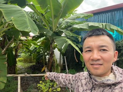 Bán đất 52m2 thôn Sơn Đoài, Sóc Sơn, full thổ cư
