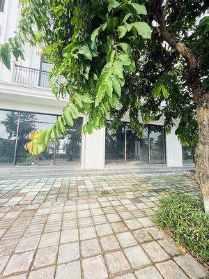Nhà vườn NV07A HUD Mê Linh 104m² ~9 tỷ