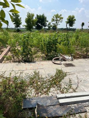 Bán đất TĐC Vân Hà (Đông Anh) - 80m² - Sổ đỏ - 4.3 tỷ
