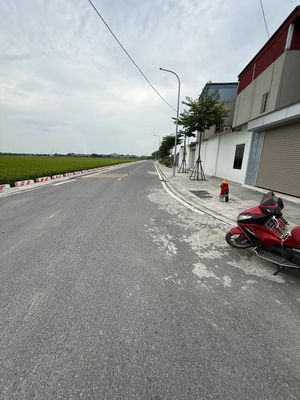 Bán đất 50m2 Yên Thư Lâm, có sổ, đường ô tô