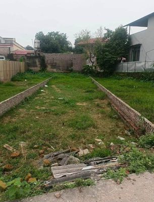 Bán đất Đồng Chầm, Sóc Sơn, giá F0 hấp dẫn