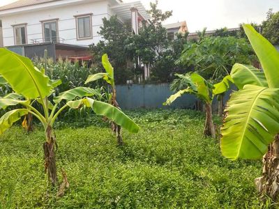 Bán đất 67m2, Sóc Sơn, Hà Nội, gần KCN Nội Bài