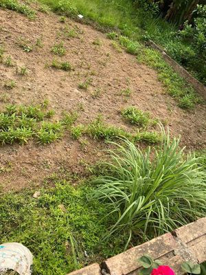 Bán đất 69m2 gần Hồ Điều Hòa Thượng Cát, Đại Đồng