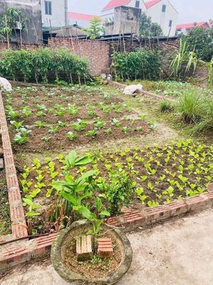 Bán đất 40m2 Đình Trung-Xuân Nộn, tiềm năng tăng giá