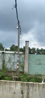 tôi cần bán đất cây lâu năm,mặt tiền đường Bộ Đội An Điền,xã Vĩnh Lộc