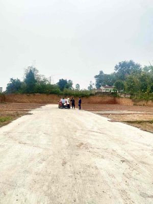Bán đất Ninh Hà Kim Long Tam Dương Vĩnh Phúc