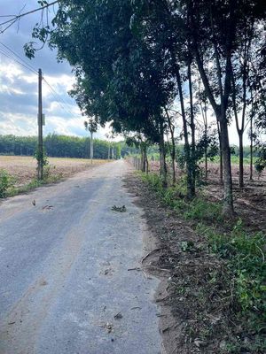 Bán đất phường chánh phú hoà, brns cát, bình dương