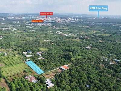 Chỉ 599tr/nền 145,9m2, sổ sẵn + thổ cư, ngay chợ Dầu Giây. Cách sân ba