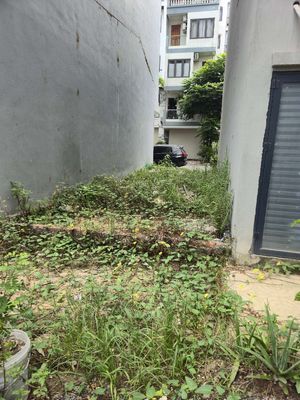 Bán đất