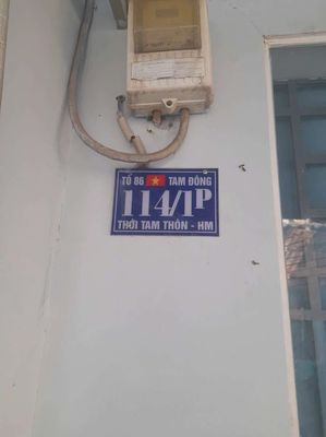 cho thuê nhà nhỏ xinh
