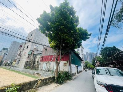 Bán nhà Miêu Nha - Nam Từ Liêm - 49.2m2 - 3 Tầng