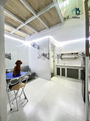 Cho thuê Minihouse khu Giảng Viên gần ĐHYD, ĐHCT