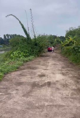 Bán đất 4000m2 view sông Thị Tính, An Điền, Bến Cát