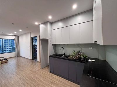 Cho thuê căn hộ SA3 Vinhomes Smart City Tây Mỗ 2PN