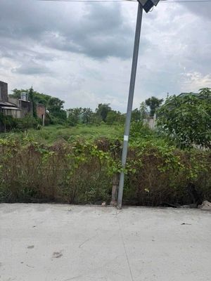 Bán đất 1056m2 Hưng Định, Thuận An, TPHCM