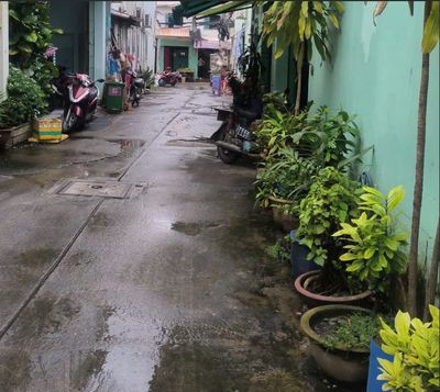 Cho thuê nhà Hồ Học Lãm An Lạc Bình Tân DTSD 120m + 30m(sân) giá 10tr