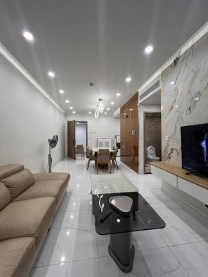 Thuê nhiều căn alnata,centery,emerald celadon city quận tân phú — ảnh 1