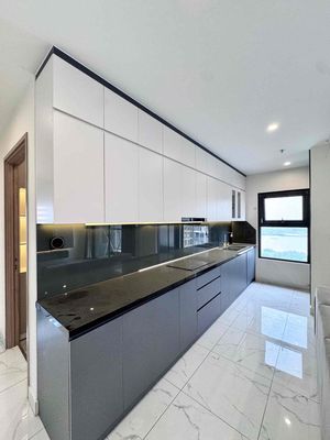 Cho thuê căn hộ 3pn+ dt lớn view sông mát mẻ