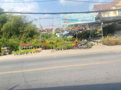 Cho thuê đất 2.000m² MT Đình Phong Phú, Tăng Nhơn Phú – 100tr/tháng