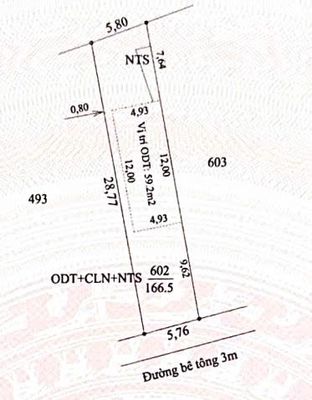 Khu Phố 5, Phường 1, TP Tây Ninh