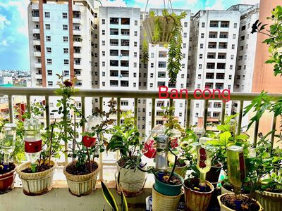 Bán căn hộ chung cư bàu cát 2 (tân bình) – 70m² (2pn, 2wc) – 4 tỷ