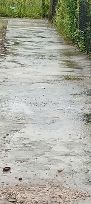 Nhà riêng 80m gần khu công nghiệp cầu tràm 500tr