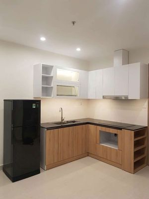 Cho thuê căn hộ 1pn