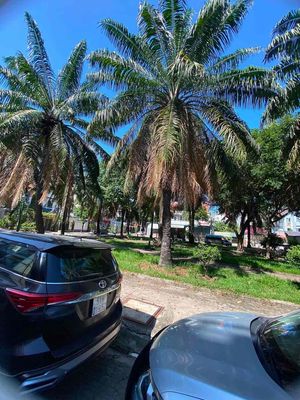 Cho thuê nhà Đường Số 6, Khu Tên Lửa, ngay công viên, 15 triệu