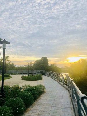 Bán Nhà Phố Riovista Phước Long B, Quận 9 - 11 Tỷ