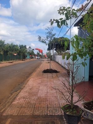 Chính chủ cần bán