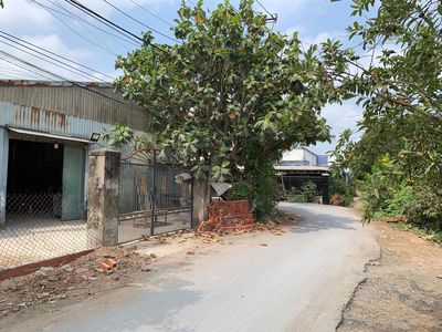 Chính chủ cần bán: 1315m đất ngay TT Đức Hoà Long An