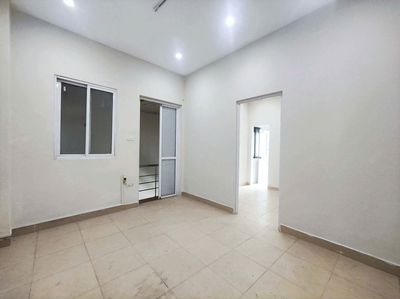 Nguyên căn Hoàng Hoa Thám Ô tô tránh KD 45mx2T 8 triệu 5.