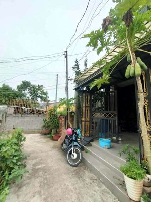 Nhà cho thuê Nguyên căn
