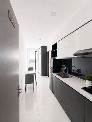 Cho thuê căn hộ 1 ngủ Cao Bá Quát, view đẹp, full nội thất