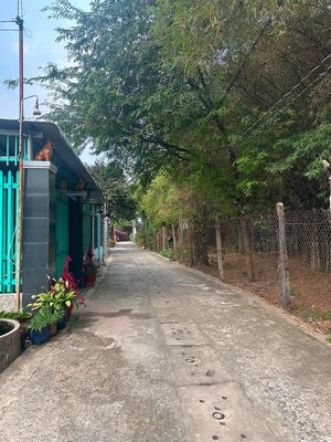 Bán đất thổ cư Hiệp An, Thủ Dầu Một, 4x29m, 1.38 tỷ