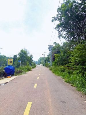 Bán đất 5x32m, 50tc, Bến Cát, Bình Dương