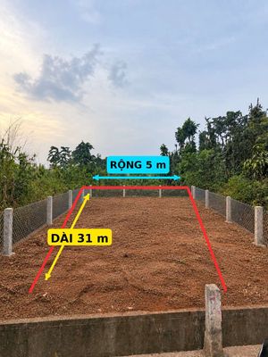 Đất Nền Quảng Thành, Chính Chủ