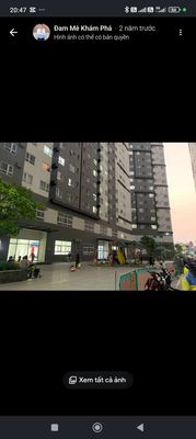 Chính chủ cần bán căn 60m2, chung cư Phoenix 1, Quận 8