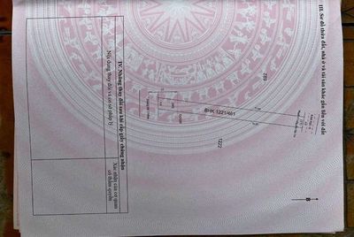 Bán đất trồng cây lâu năm