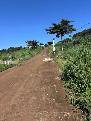 Đất tt Nam Ban 6mx50m, 895tr cách Đà Lạt 25km