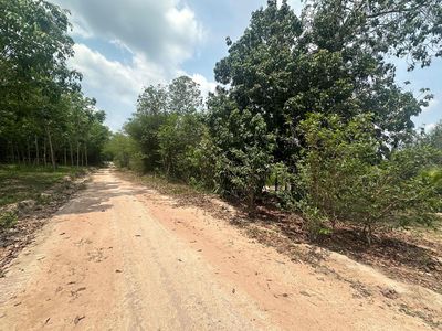 bán gần 3mẫu đất xã Minh Tân Dầu Tiếng phù hợp mở trang trại chăn nuôi