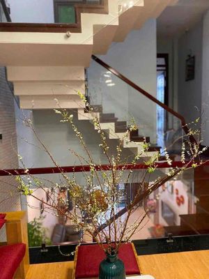 306 cho thuê nhà 3 tầng mặt tiền đường phạm thế hiển