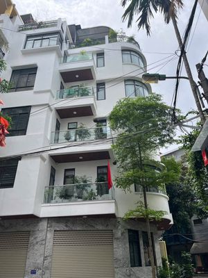 Mặt phố Trương Công Giai, Cầu Giấy, KD, 20.5 tỷ