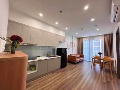 Cho thuê căn hộ 1N1VS full đồ Beverly